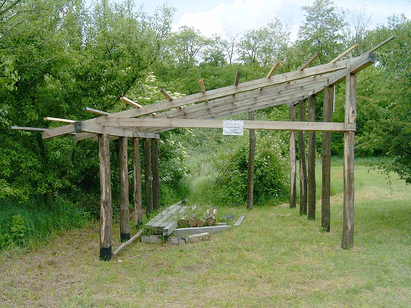 20100529 002.jpg